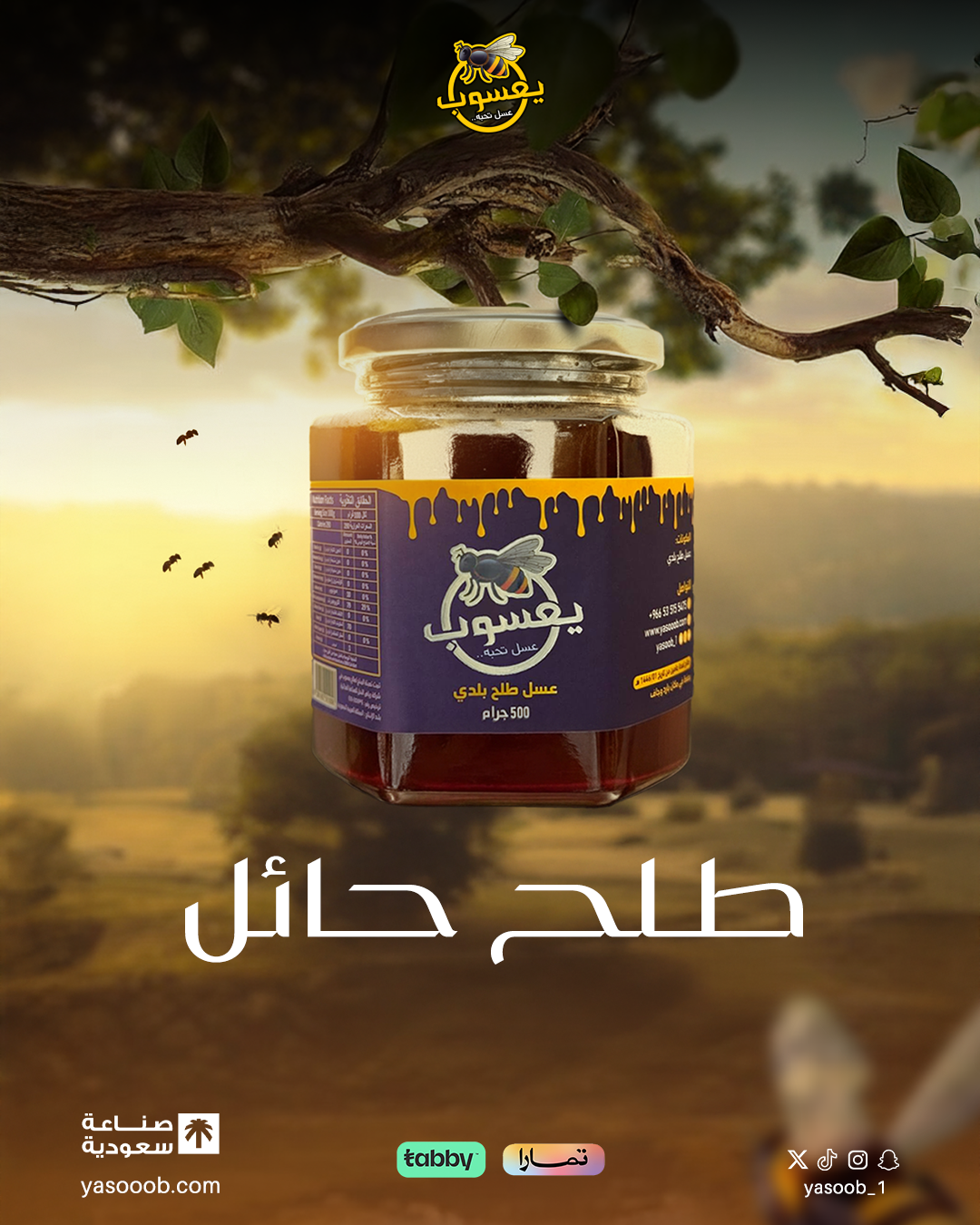 عسل طلح بلدي